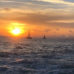 Meet your Posher, Lanie